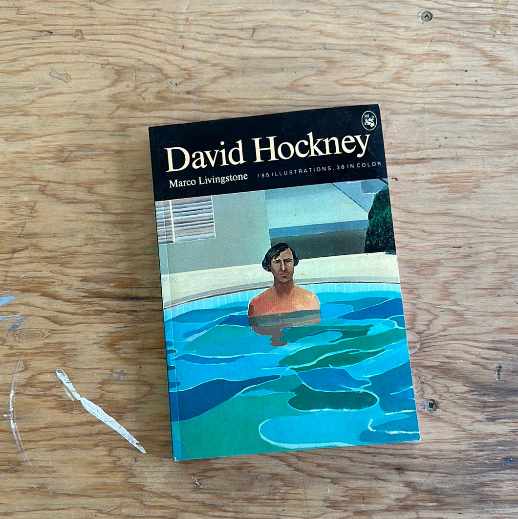 David Hockney - 1981