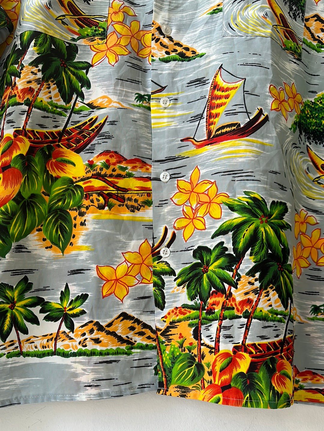 1970s/'80s Van Cort Hawaiian Shirt