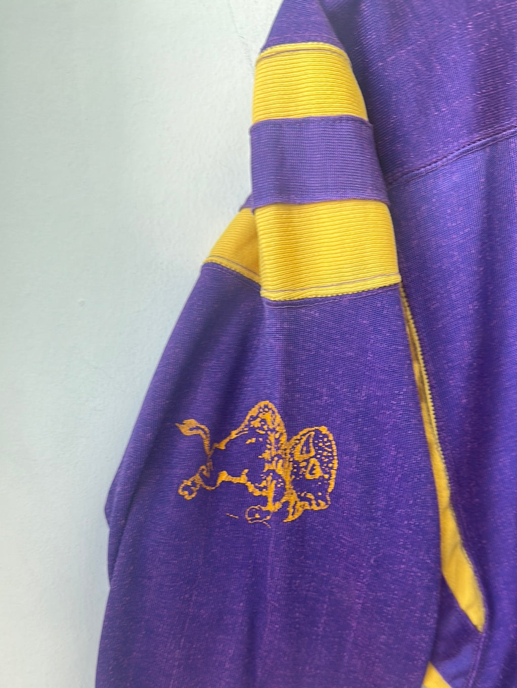 1960s/70s Champion Rayon Jersey