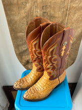 Load image into Gallery viewer, Montenegro Alligator Cowboy Boots - Size 7 M 8.5 W
