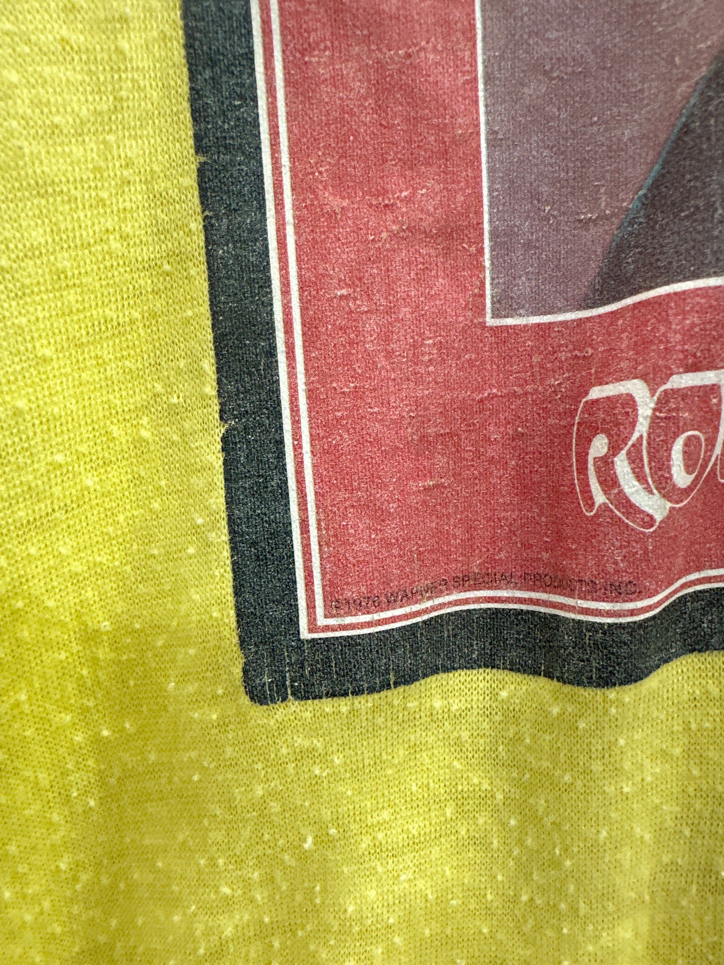 1976 Led Zeppelin Robert Plant Tee
