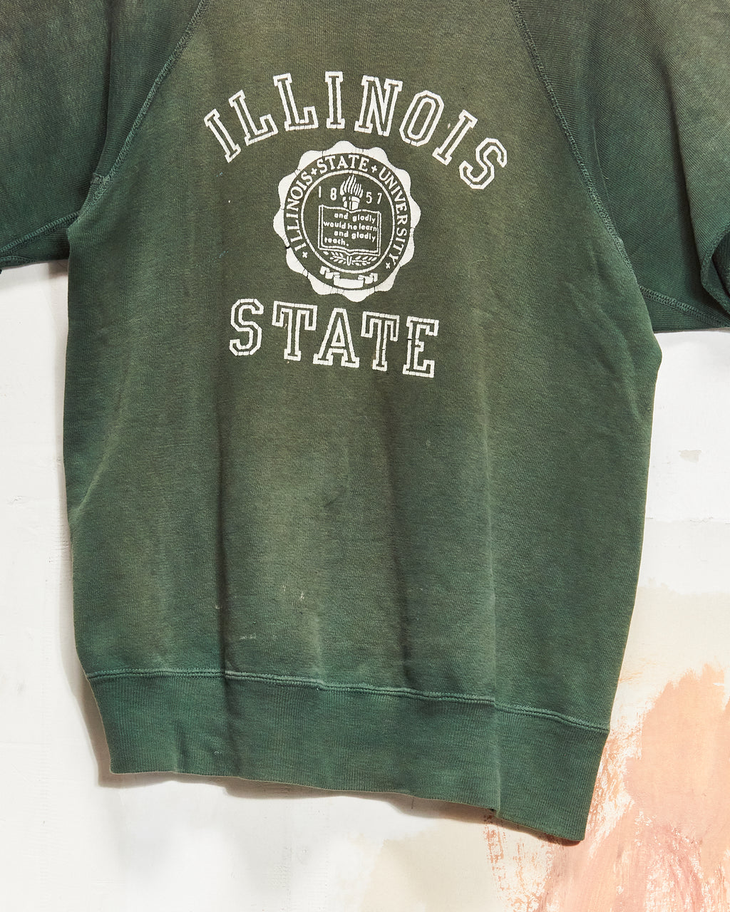 1950s/60s Illinois State Short-Sleeve Crewneck - Champion