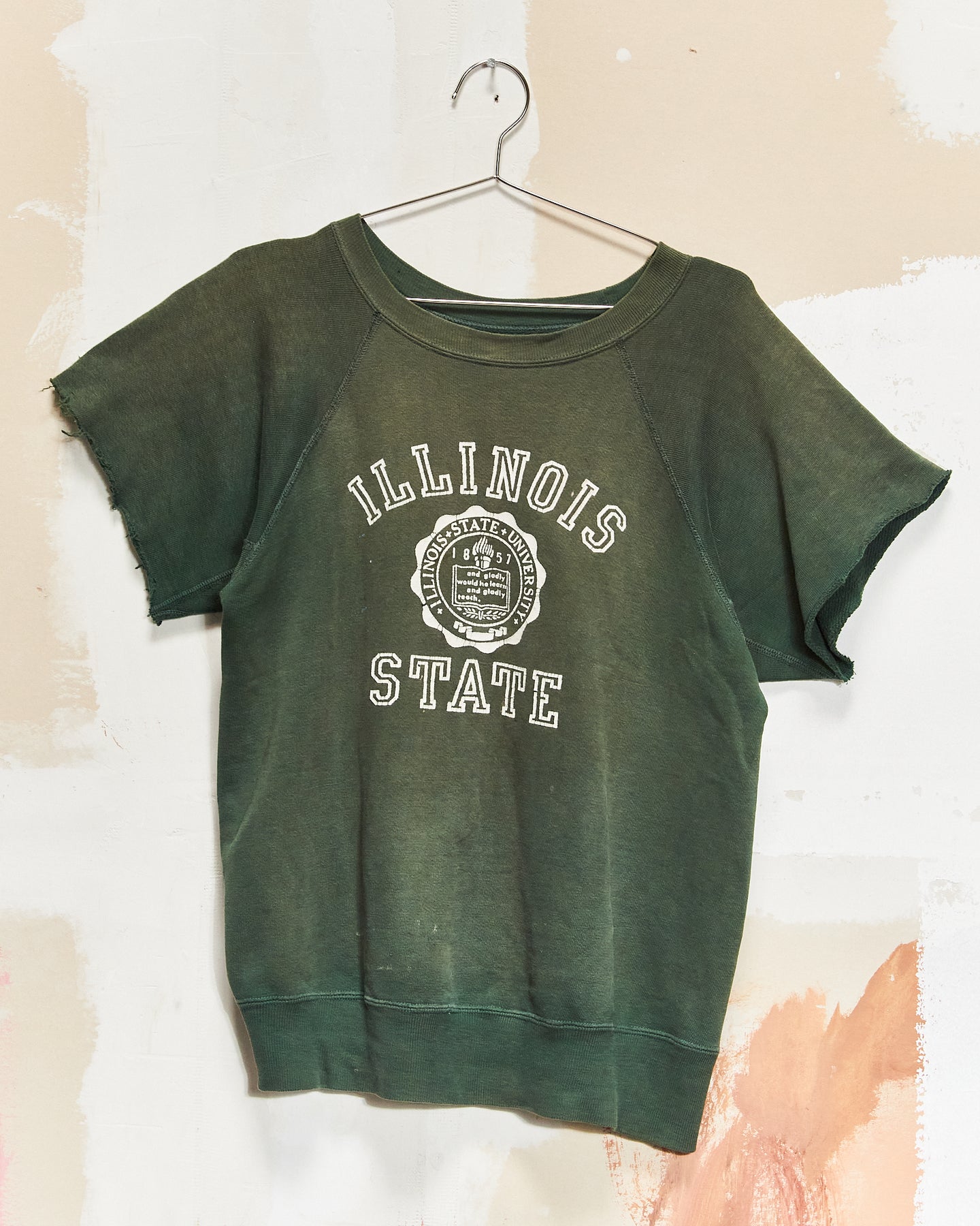 1950s/60s Illinois State Short-Sleeve Crewneck - Champion